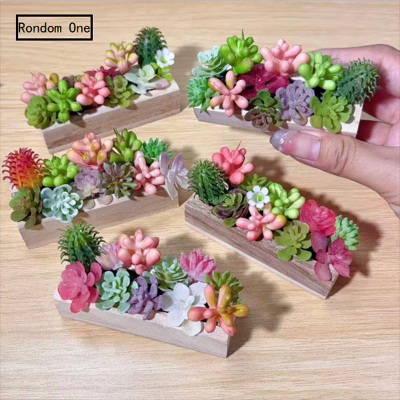 ⭐HOT❗ 1PC Miniature Wooden Tro - Photography Simulator recension och pris